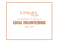 A local volunteering experience