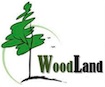 woodland cemea scambio internazionale giovani